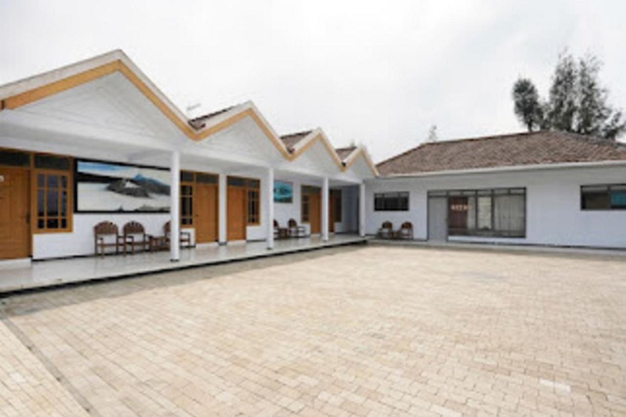 Ambar Tosari Homestay At Desa Wisata Bromo Пасуруан Екстериор снимка